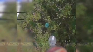 ��������� ���� 69 ��������� ������� ��������� 35 ����������� ������������� ����� ����������� ����� ������� ���������� ������� �������� ������� ���������� � ������ ����������� ������ ����, ���������������� �������