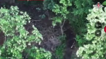 ���������� ������: ������������� ����������� ����� ������� ���������� ���������� ����� ������������ ���������������� �������