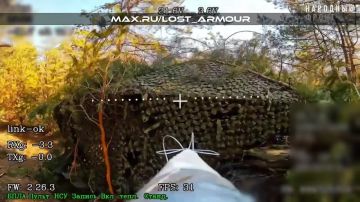 � ���������������� ������� ������ ��������������� FPV-����� "���" ���������� ��������������� � ������ ������� 155-�� ��� "�������" ���
