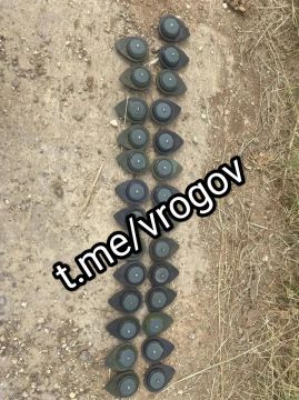Владимир Рогов: Осторожно: мины-ловушки!. Боевики ВСУ сбрасывают с дронов мины-ловушки в многострадальной Каменке-Днепровской