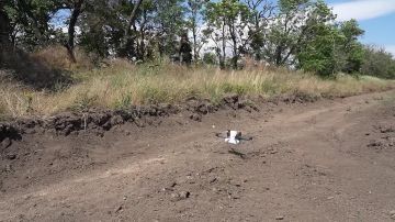 ����� ����������� ����� ������ ������� ������� ����������