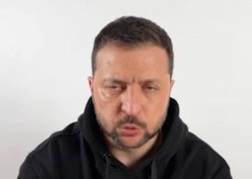 Наркофюрер заявил, что Украина будет «стараться заставить» Россию завершить войну до зимы