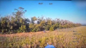 ������ �������: ������� FPV-������ ����������� ����� ������ ���������� ��������� ������ �� ����������� ����������� ���������� �������� ���������� � ���������������� �������