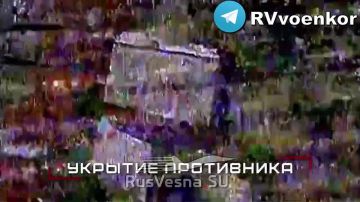 ����� ���: ����� ������� ���������� ������ � ������� ����� � ���� �� ��������������� � �� ����������������