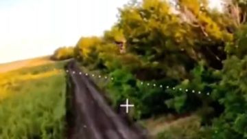 �� ������ ���������� ������ ���������� ���� ��� � ���������������� �������