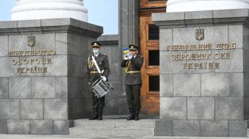 Боевик украинского "Кракена"* связан с мошенническими колл-центрами в Днепропетровске и убийством на Бали