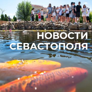 Михаил Развожаев: Коротко о главном:. За минувшую ночь наши военные, авиация, ПВО и мобильные огневые группы отразили атаку ВСУ