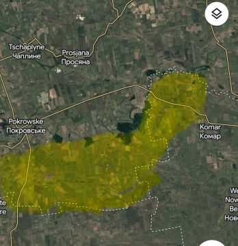 Западные эксперты усомнились в успехах нового "контрнаступа"