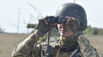 Западные наблюдатели за "контрнаступлением" ВСУ не рассмотрели успеха