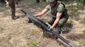 ������ �������: ������ ����� ����������� ������ ����������� ����� ������ � �������������� ����������������� ������������ ������������ �������� ������ ����� ���� ��������� ������������ �������� ���������������� ������� ��...