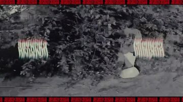 ���������� �� ��������� �����������
