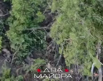 ��� ������: ����������� �����. ��������� ������ 19 ����������� �������������� ������� �������� ���������� �� ����������� � ��.���������� �� ����� ����������