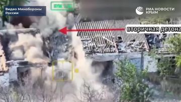 Наши бойцы уничтожили ударный дрон ВСУ в Запорожской области
