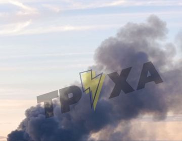 � �������� "������" ����� �������� ������� ������ �� �������