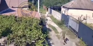 В селе Черногородка под Кривым Рогом людоловы напали на местного жителя, который гулял с собакой