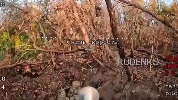 Андрей Руденко: Боевая работа операторов FPV-дронов Ярославских десантников группировки «Днепр» на Ореховском направлении