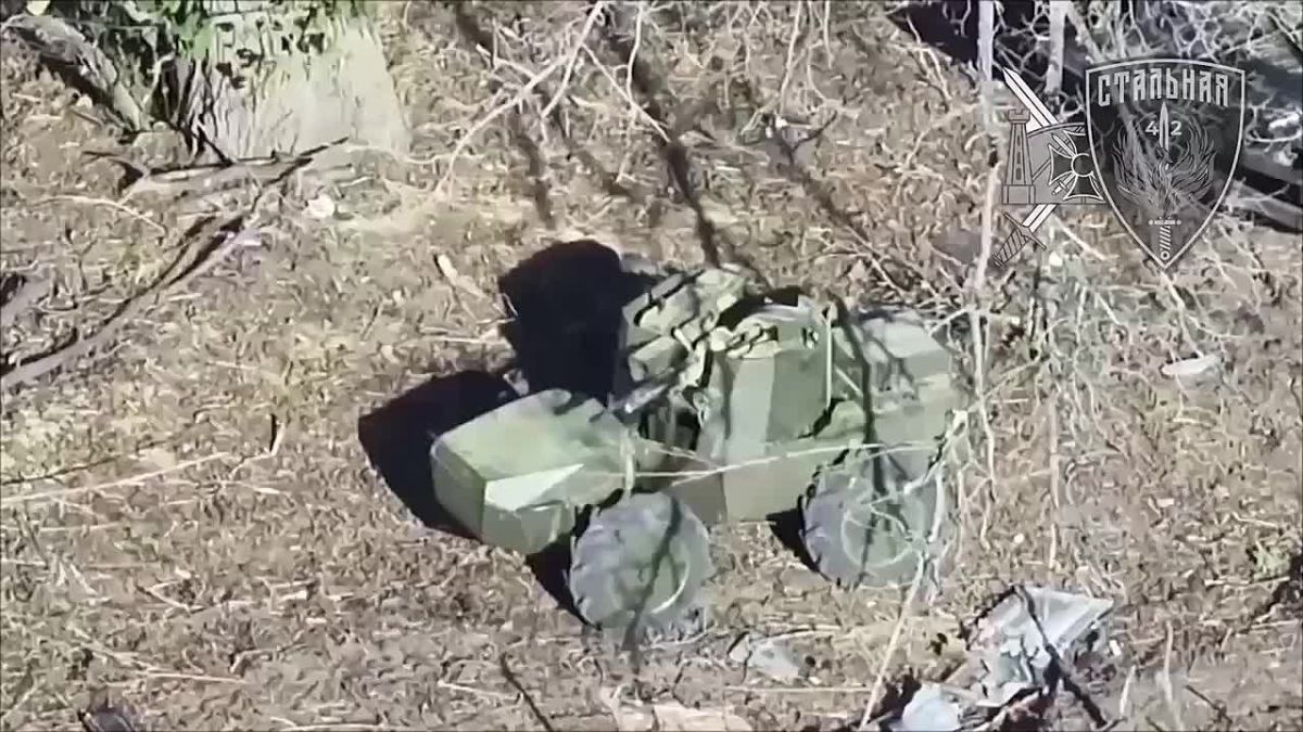 На Запорожском направлении обнулили связку века: бронеробот «Лють» с пулемётом и дрон на оптоволокне