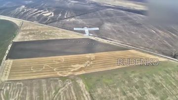 ������ �������: ������ ������ ���������� FPV-������-������������� ����������� ����� ������ � ���������� �������