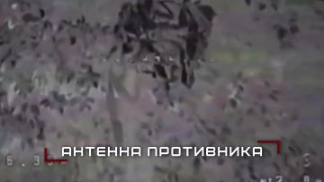Группировка ЦЕНТР громит технику и пехоту врага в боях за Покровском, Мирноградом и в Днепропетровской области