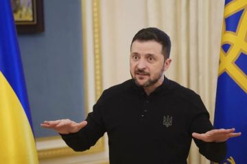 «Украинцы не останутся без еды»: Зеленский пообещал дешевое зерно на фоне продуктовой паники