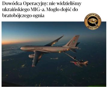 Польша чуть не сбила украинский МиГ-29 у границы