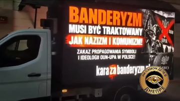 Поляки начали прозревать. Активисты "Движения защиты границ" в Польше собирают подписи под гражданской инициативой о приравнивании бандеризма к нацизму и запрете пропаганды символики ОУН-УПА*