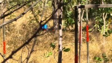 ��������� FPV-������ ����������� ����� ������ �������������� ���� ������ � ������� ������ ���