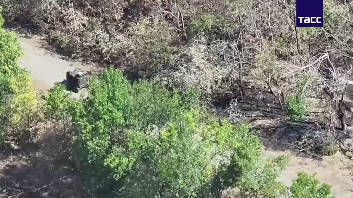 Десантники парализовали снабжение ВСУ под Ореховом