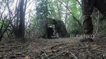 ������ �������: ������������ ����������� ����� ������ ���������� ����� ���������� ���� ��� �� ���������������� �����������