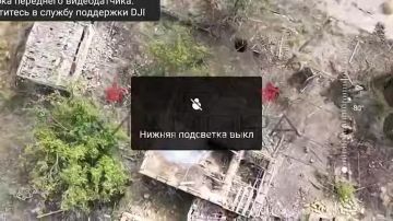 ��� ������: ���������� �����������. ��������� ���� 18-� ������������� ����� ����������� ����� ������ ������� ���������� ������� ������ ������