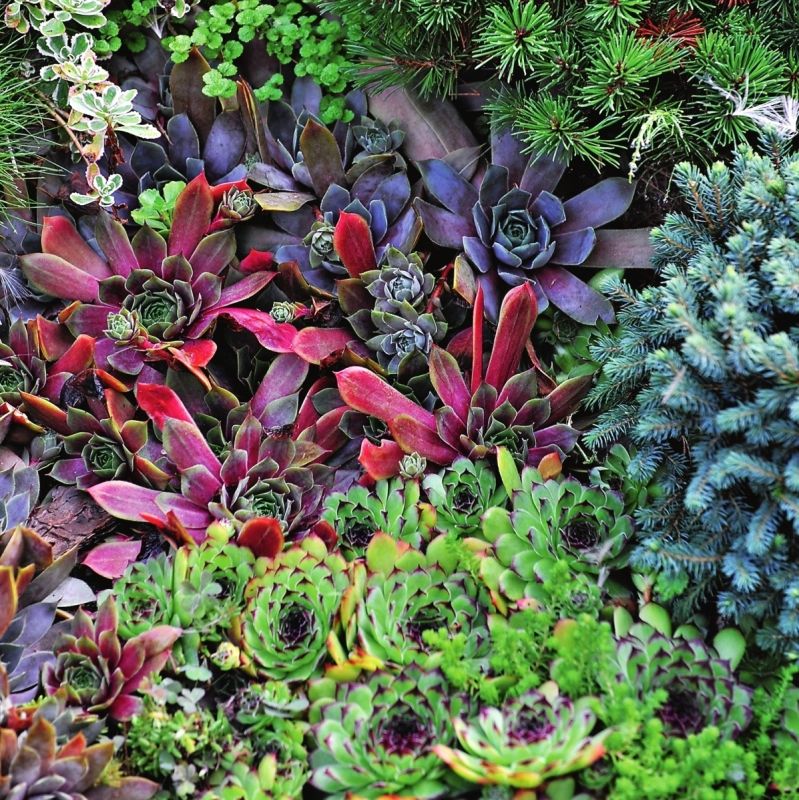 ��������: ����������� ����������� � ������� ����� �� ���������